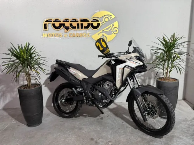 SAHARA 300 ADVENTURE ABS FLEX