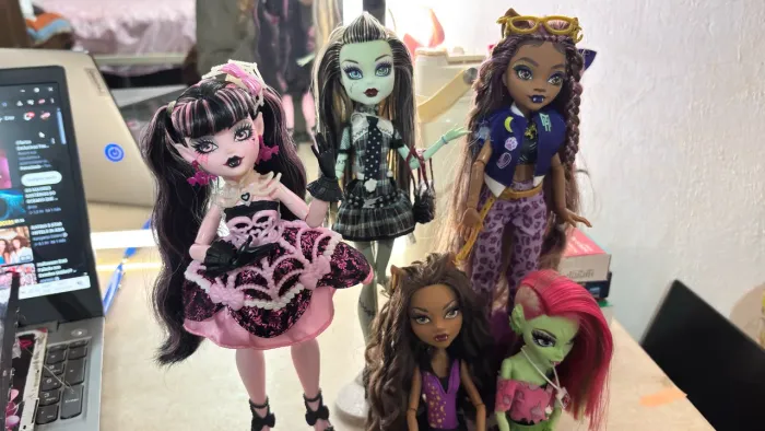 Lote Monster High