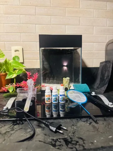Aquário com bomba, areia e ornamentação 