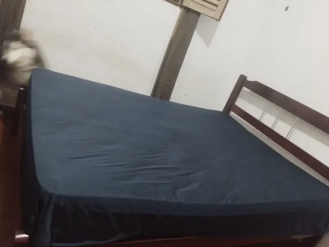 Cama de madeira