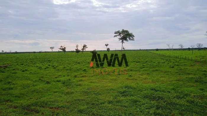 Fazenda à venda,  m² por R$ 157.500.000,00 - Centro - Caseara/TO