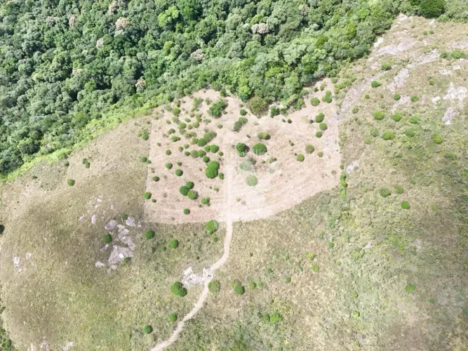 Área à venda, 20925 m² por R$ 3.200.000,00 - Balsa Nova - São Luiz do Purunã/PR