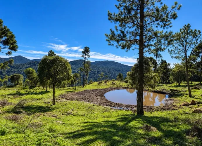 Terreno em Vacas Gordas - Urubici SC 20% + 48X
