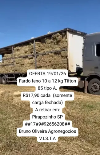 Feno fardo Tifton 10 a 12 kg CARGA FECHADA