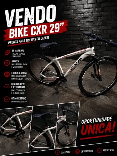 BICICLETA ARO 29