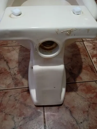 Vaso sanitário com tampa