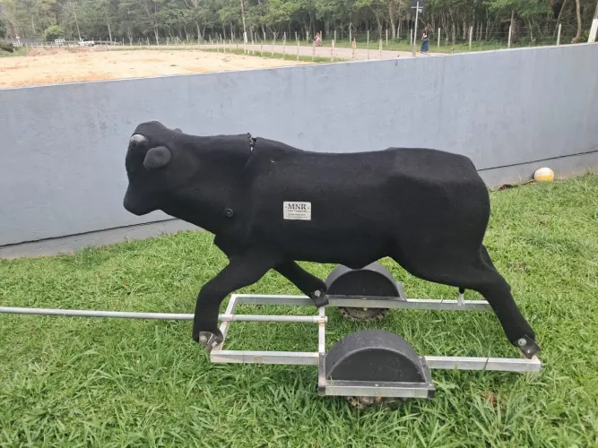 Vaca mecânica MNR laço campeiro