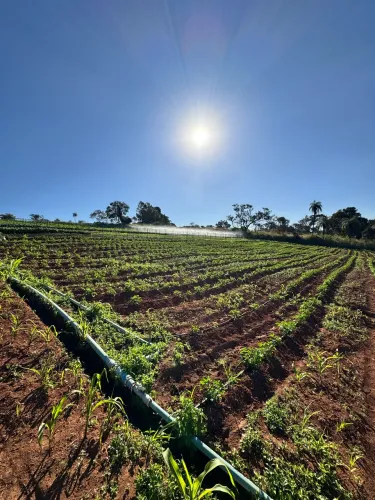 Chácaras de 1.000m² em Serra Azul | Entrada de R$ 30 Mil + 39x de R$ 1.000