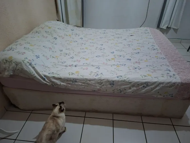 Cama de casal (colchão e box)