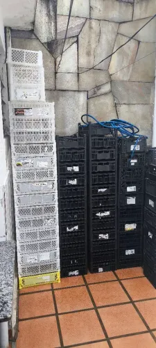 Caixa organizadora 