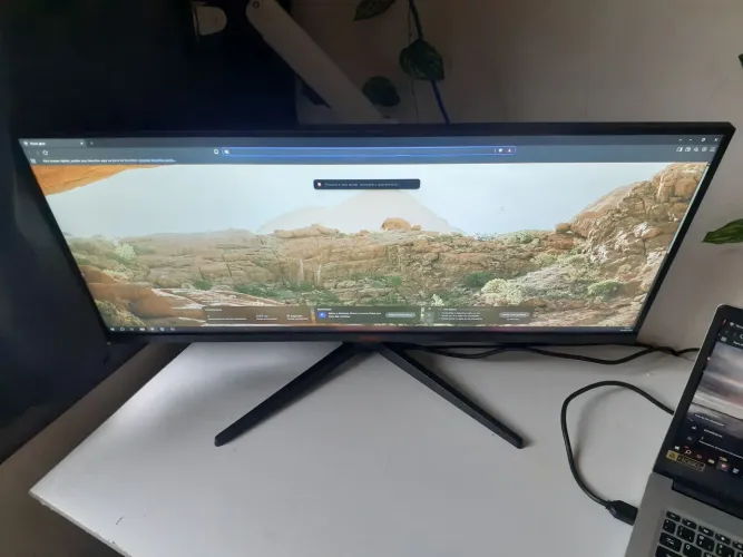 Monitor gamer