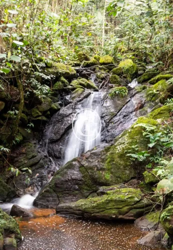 Chácara com cachoeira!!!
