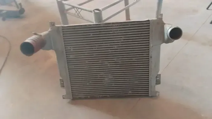 Radiador e Intercooler Ford Cargo cada 1 custa 1700