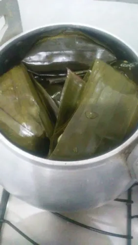 Abara temperado
