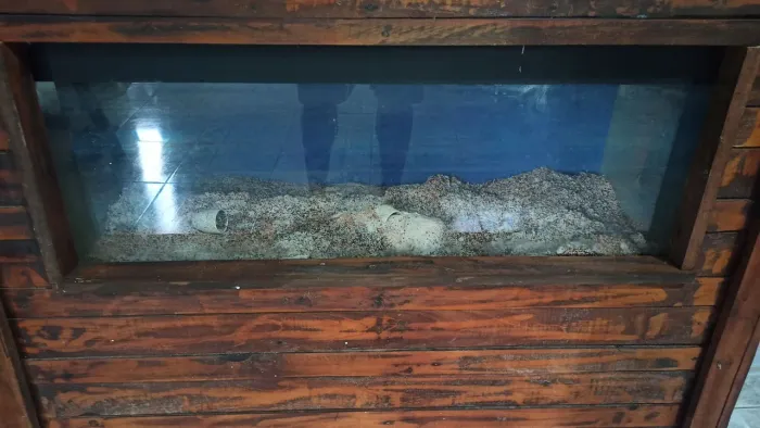 Aquário ou terrário 100 litros