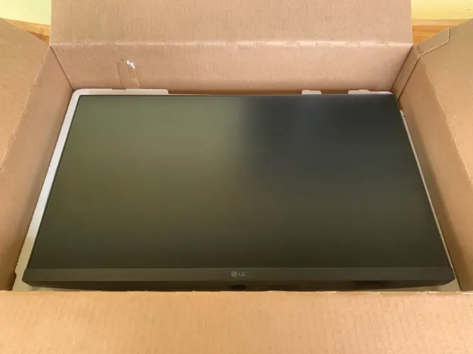 Monitor Gamer LG 24MS500-B 24 IPS 100Hz