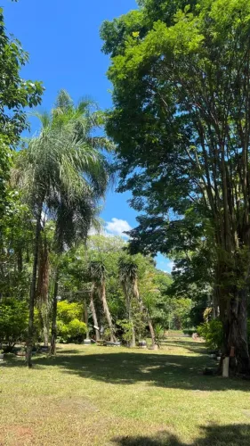 VENDE-SE CHÁCARA 1 ALQUEIRE REGIAO DO CARREFURZINHO EM BONFINÓPOLIS - GO