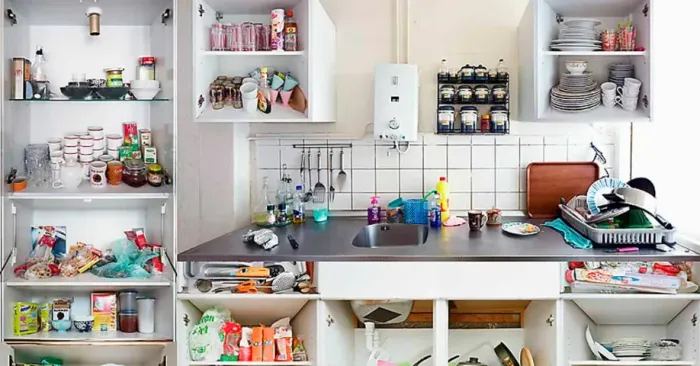 Doméstica Precisa-se