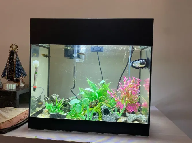 Aquário pronto pra uso 25 litros 