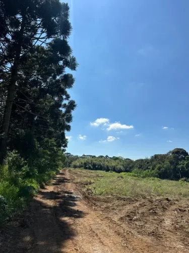 Casa de condomínio para venda possui 1000 metros quadrados em Jardim Três Lagoinhas - Mair