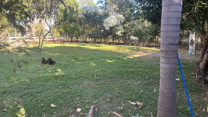 Corto grama e faço roçagem.