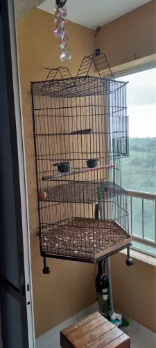 Gaiola para aves