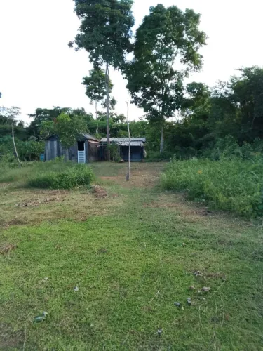 Chácara Metade do preço - 40 km de Parauapebas 