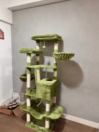 Torre de gatos