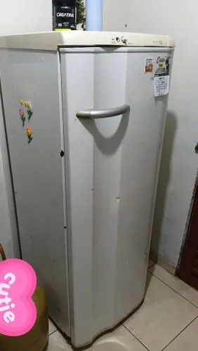 Vendo geladeira funcionando perfeitamente 