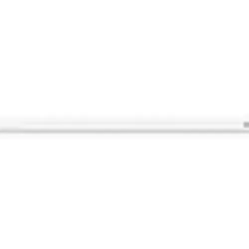 Apple Pencil Pro Branco (Loja Fisica)