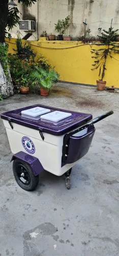 Carrinho picolé Thermototal 130 litros completo - oportunidade