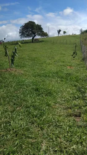 Uma tarefa e meia de terra