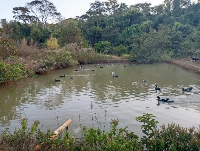 Chácara em Bela vista de Goiás 