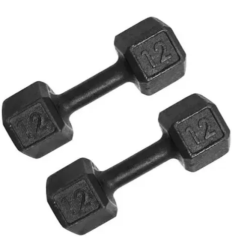 Halter Sextavado De 12kg Pintado ferro Dumbbell par