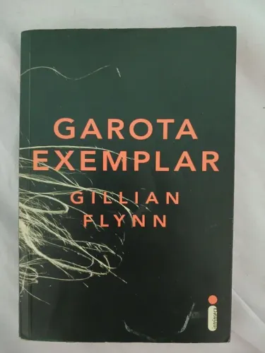 livro garota exemplar (gone girl)