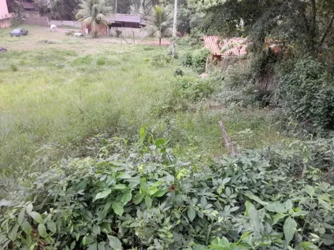 Engenho do Mato lindo lote grande e perto de tudo