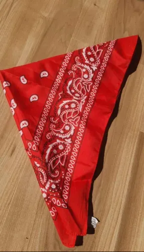 Bandana vermelha 