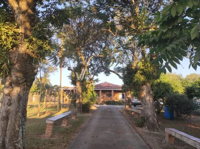 chácara - Tanque Furado - Cosmópolis