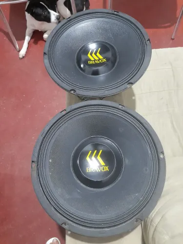 Alto Falantes de 12" a Venda