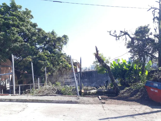 Limpo quintal, roço lote, limpeza de terrreno