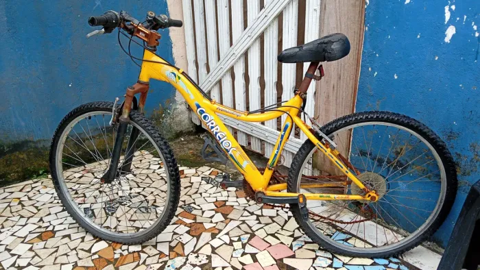 Bicicleta World Tour 21 marchas