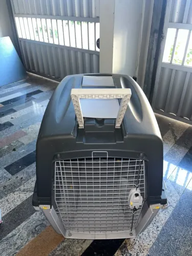 CAIXA DE TRANSPARENTE PARA PET NUMERO 7