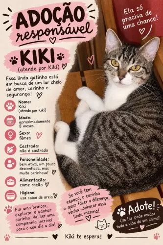 Gatinha para adoção 