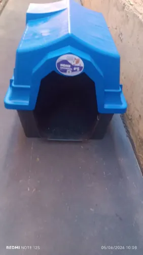 Casinha nova número 5