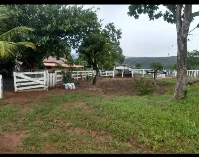 A&M IMOVEIS VENDE FAZENDA COM 474HECTARES A 60KM DE FORMOSA SENDO 16KM DE CHAO
