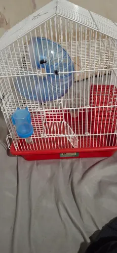 Vende gaiola para ramister