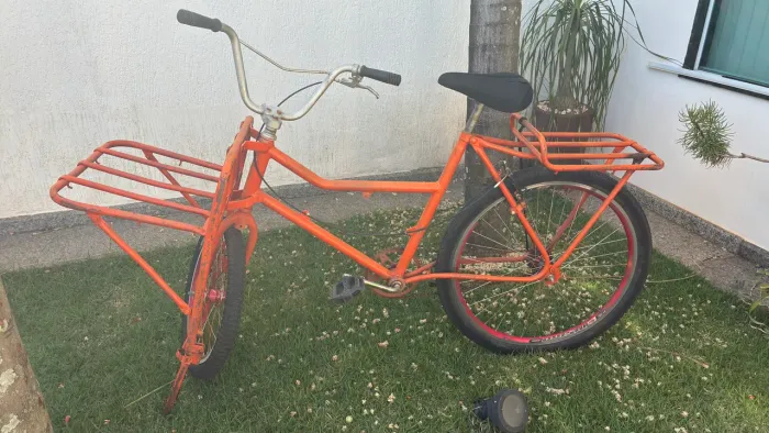 Bicicleta cargueira 