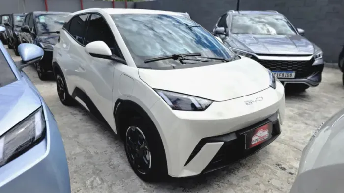 BYD Dolphin Mini (Elétrico) 2024