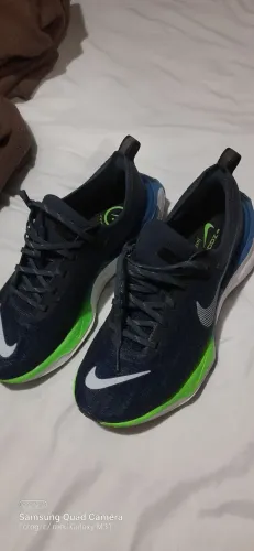 Tenis