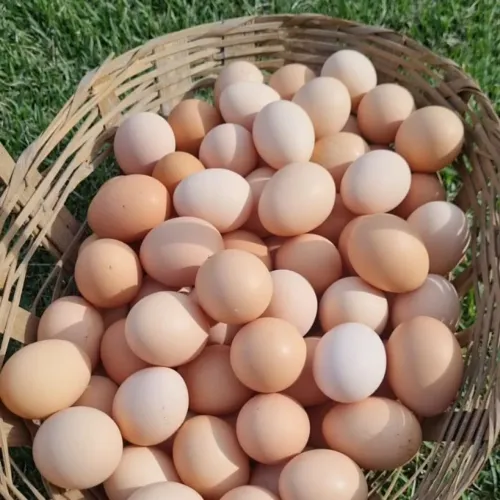 Ovos caipira